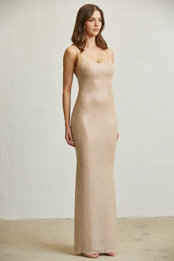 Crystal Mirage Gown Dress – Fitted Mesh Dress with Crystal Detailing & Open Back